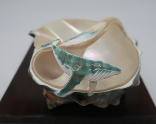 夜光貝　インテリア　ライト　小物 9c731cb9882a80b0a295eb7bee7d7c