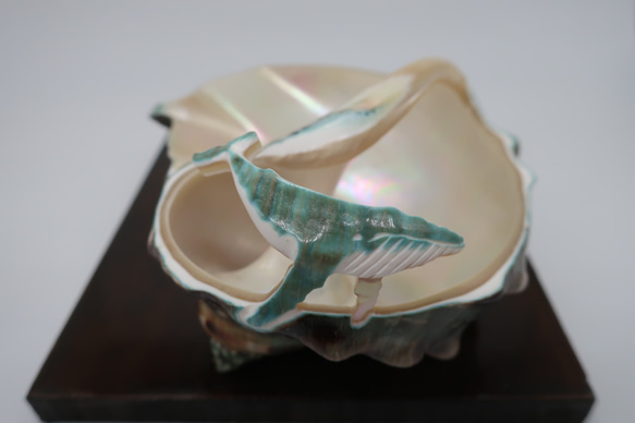 夜光貝小物入れ(ザトウクジラ付き) その他インテリア雑貨 カイカイ