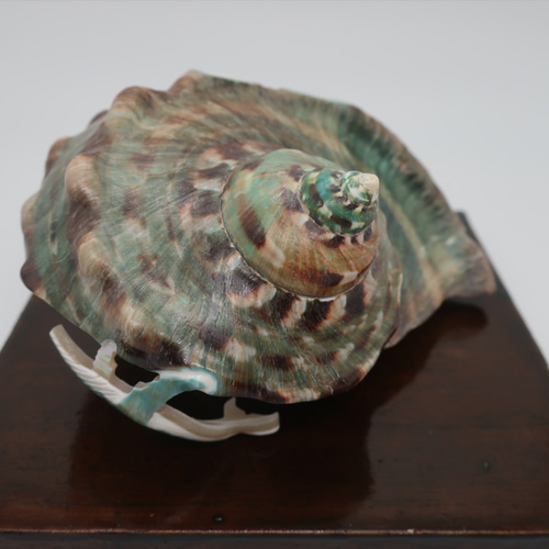 夜光貝小物入れ(ザトウクジラ付き) その他インテリア雑貨