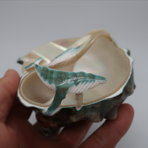 夜光貝小物入れ(ザトウクジラ付き) その他インテリア雑貨 カイカイ