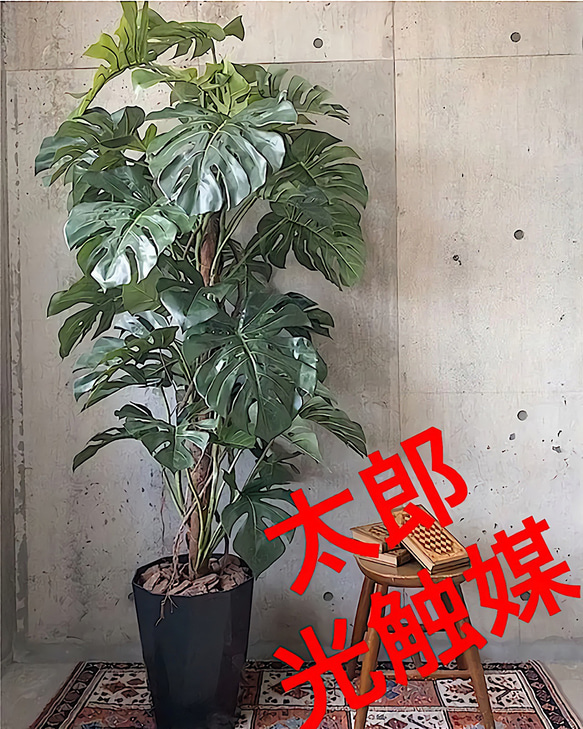 光触媒人工観葉植物ウォールグリーンフェイクグリーンモンステラポット180