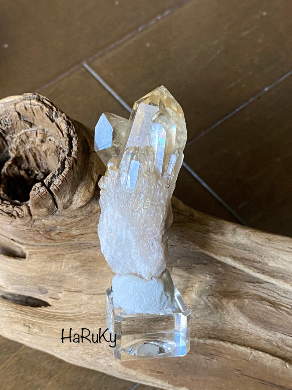 売約済み、購入はお控え下さいm(_ めんど _)m 