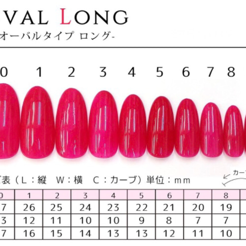 未使用　ネイルチップ 未使用　ネイルチップ