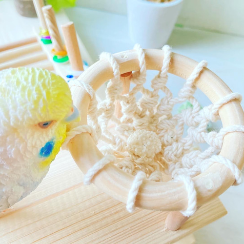 輪投げハシゴのバードアスレチック＆小鳥のポイ活セット ♪ おもちゃ