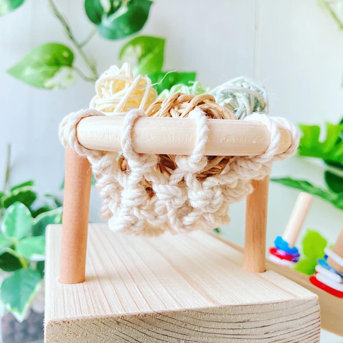 輪投げハシゴのバードアスレチック＆小鳥のポイ活セット ♪ おもちゃ