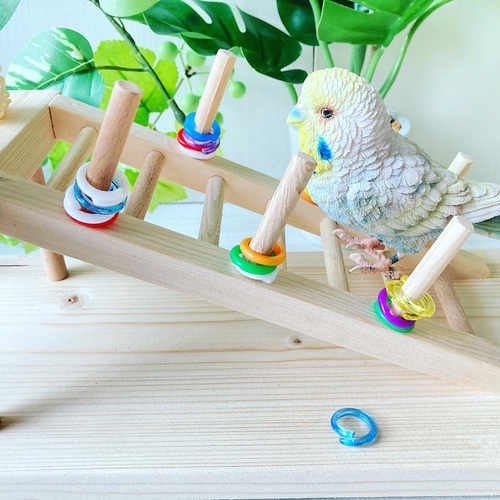 【中型鳥用】ブランコ&ハシゴ付♬とっても丈夫なバードアスレチック 中型鳥用】ブランコ&ハシゴ付♬とっても丈夫なバードアスレチック