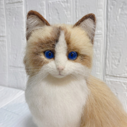 羊毛フェルト リアル猫 ラグドール 猫 2枚目の画像