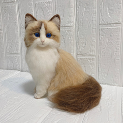 羊毛フェルト リアル猫 ラグドール 猫 4枚目の画像