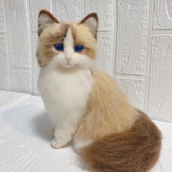 羊毛フェルト リアル猫 ラグドール 猫 1枚目の画像