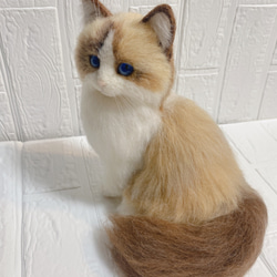 羊毛フェルト リアル猫 ラグドール 猫 9枚目の画像