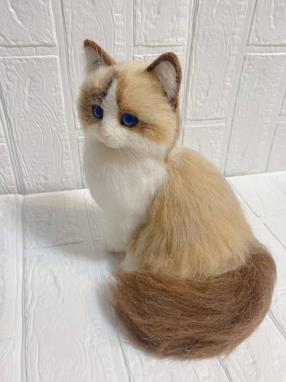 羊毛フェルト リアル猫 ラグドール 猫 9枚目の画像