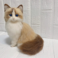 羊毛フェルト リアル猫 ラグドール 猫 3枚目の画像