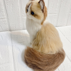 羊毛フェルト リアル猫 ラグドール 猫 10枚目の画像