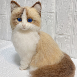 羊毛フェルト リアル猫 ラグドール 猫 6枚目の画像