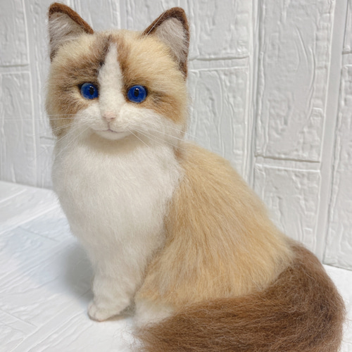 羊毛フェルト リアル猫 ラグドール 猫 羊毛フェルト pon pon 羊毛フェルト リアル猫 ラグドール 猫 羊毛フェルト pon pon