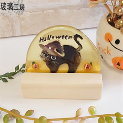 ハロウィン　Halloween　黒猫　オッドアイ　カボチャ　魔女　10月　半円 13枚目の画像