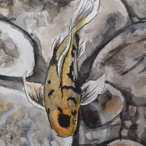水彩画 池の緋鯉 絵画 makochin 通販 14385866｜Creema(クリーマ)