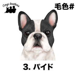 【 フレンチブルドッグ 水彩画風 毛色6色 】　スマホケース　クリアソフトケース　犬　うちの子　Android対応 4枚目の画像