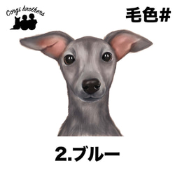 【 イタリアングレイハウンド 水彩画風 毛色4色 】スマホケース　クリアソフトケース　犬　うちの子　Android対応 3枚目の画像