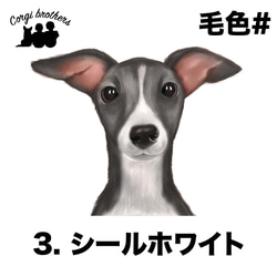 【 イタリアングレイハウンド 水彩画風 毛色4色 】スマホケース　クリアソフトケース　犬　うちの子　Android対応 4枚目の画像
