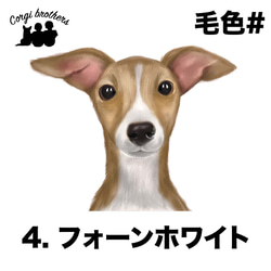 【 イタリアングレイハウンド 水彩画風 毛色4色 】スマホケース　クリアソフトケース　犬　うちの子　Android対応 5枚目の画像