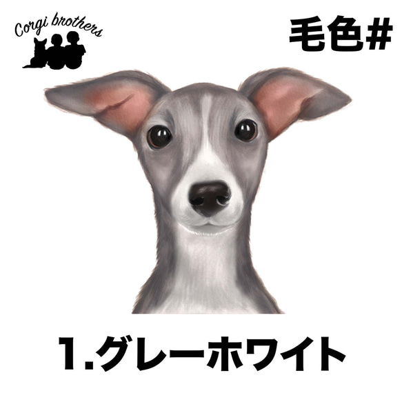 【 イタリアングレイハウンド 水彩画風 毛色4色 】スマホケース　クリアソフトケース　犬　うちの子　Android対応 2枚目の画像