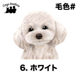 【 トイプードル 水彩画風 毛色8色 】　スマホケース　クリアソフトケース　犬　うちの子　Android対応 7枚目の画像