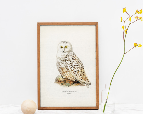 3d6320d92fbc383897e6f4a80ec43f