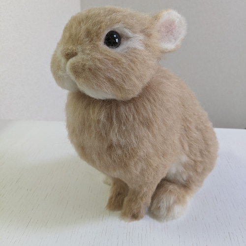 【ラプンツェル様用】VANDERHOOF / Vanderhoof 羊毛フェルト うたっち オレンジ ネザーランドドワーフ