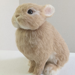ネザーランドドワーフ（うさぎ）リンクス 植毛 羊毛フェルト