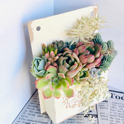 ❤️専用ページ❤️多肉植物の寄せ植え❤️そのまま飾れます 寄せ植えギフト | 多肉Garden＊Grow