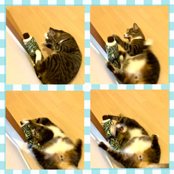 にゃん和柄　巻物けりぐるみ　けりけりキッカー　猫のおもちゃ　長野県産またたびの実入り 10枚目の画像