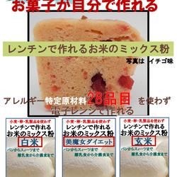 レンチンで作れるお米のミックス粉　白米　１００ｇ 2枚目の画像