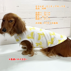 タンクトップ ペリカン柄 【ブルー】 Dog 犬服 ドッグウェア 秋～春　ペリカン 鳥 7枚目の画像