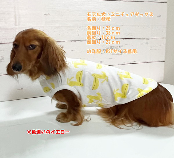 タンクトップ ペリカン柄 【ブルー】 Dog 犬服 ドッグウェア 秋～春　ペリカン 鳥 7枚目の画像