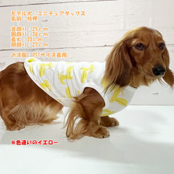 タンクトップ ペリカン柄 【ブルー】 Dog 犬服 ドッグウェア 秋～春　ペリカン 鳥 8枚目の画像