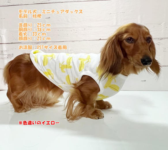 タンクトップ ペリカン柄 【ブルー】 Dog 犬服 ドッグウェア 秋～春　ペリカン 鳥 8枚目の画像