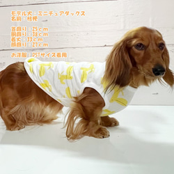 タンクトップ ペリカン柄 【イエロー】  Dog 犬服 ドッグウェア 秋～春　ペリカン 鳥 7枚目の画像