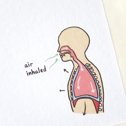 深呼吸 Deep Breath 心意卡 萬用卡 / 生物學 第3張的照片