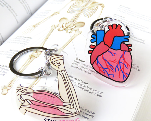 Stay Strong ハート/内臓 キーチェーン キーリング 携帯ストラップ