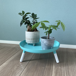 カリン 花置き台 鉢置き台 ディスプレイ台 ローテーブル 小さい机