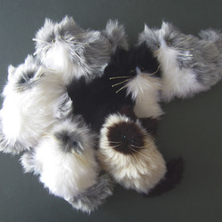訂做&gt;&gt; PEPOSO：毛茸茸的動物「貓」貓/八件白色×灰色 第8張的照片