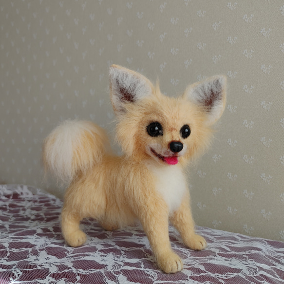 もふもふ 羊毛フェルト 犬 チワワちゃん いちごちゃん (о´∀`о) 骨格もずっしりむちむちチワワちゃん