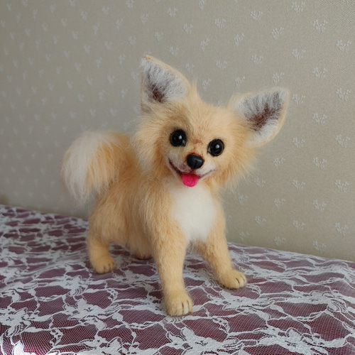 チワちゃん、チワワ 羊毛フェルト フジイケ 通販 14390253