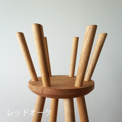 ボタニカルスツールＬＬ　Botanical Stool ’crown’　ＬＬサイズ　プランタースタンド フラワースタンド 8枚目の画像