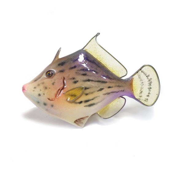 魚飾品/魚胸針（filefish） 第2張的照片