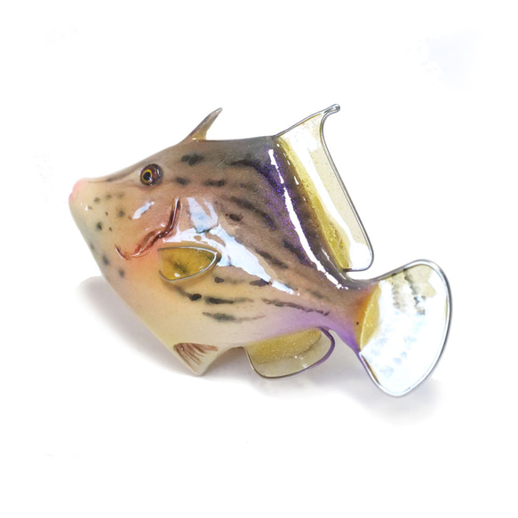 魚飾品/魚胸針（filefish） 第3張的照片