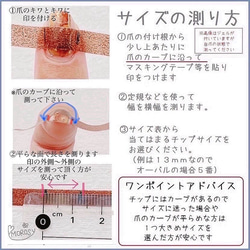  第6張的照片