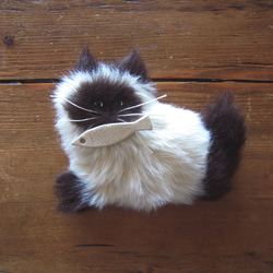 客製化 &gt;&gt; PEPOSO：毛茸茸的動物「貓」貓/尖頭奶油色 x 棕色 第6張的照片