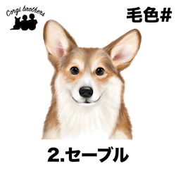 【 コーギー 水彩画風 毛色4色 】　パターン柄　スマホケース　犬　ペット　うちの子　Android対応 3枚目の画像